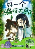 好一个骗婚夫郎全文