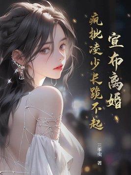 凌少离婚吧