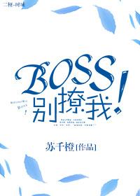 Boss别撩我!