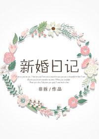 新婚日记陈研吴冰笔趣阁