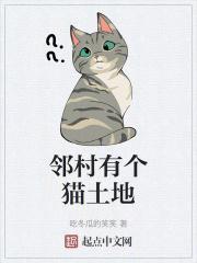 邻村有个猫土地资源