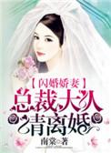 闪婚娇妻总裁大人请离婚全文免费阅读