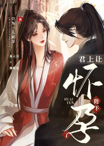 君上让陛下怀孕了(女尊)作者只为一人封