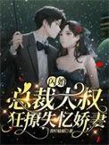 闪婚甜妻总裁大叔夜