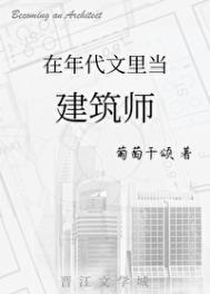 穿到年代文里当建筑师晋江