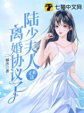 陆少夫人又闹离婚了