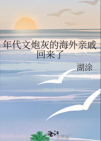 年代文炮灰的海外亲戚回来了湖涂无防盗