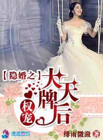 隐婚权少爱妻